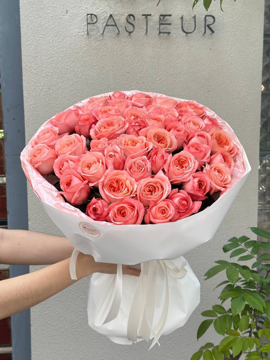 Light Cloud — order with delivery in Da Nang. Price $83