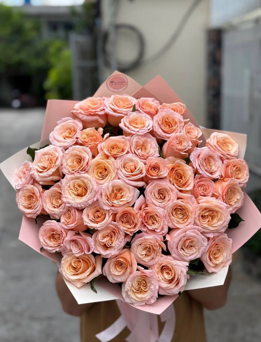 Peach Quarter — order with delivery in Hanoi. Price $81
