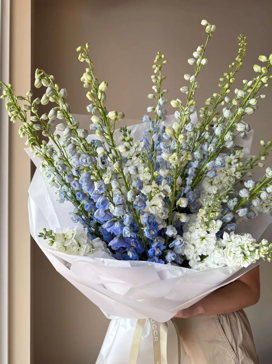 Morning Silk — order with delivery in Sorrento. Price €321