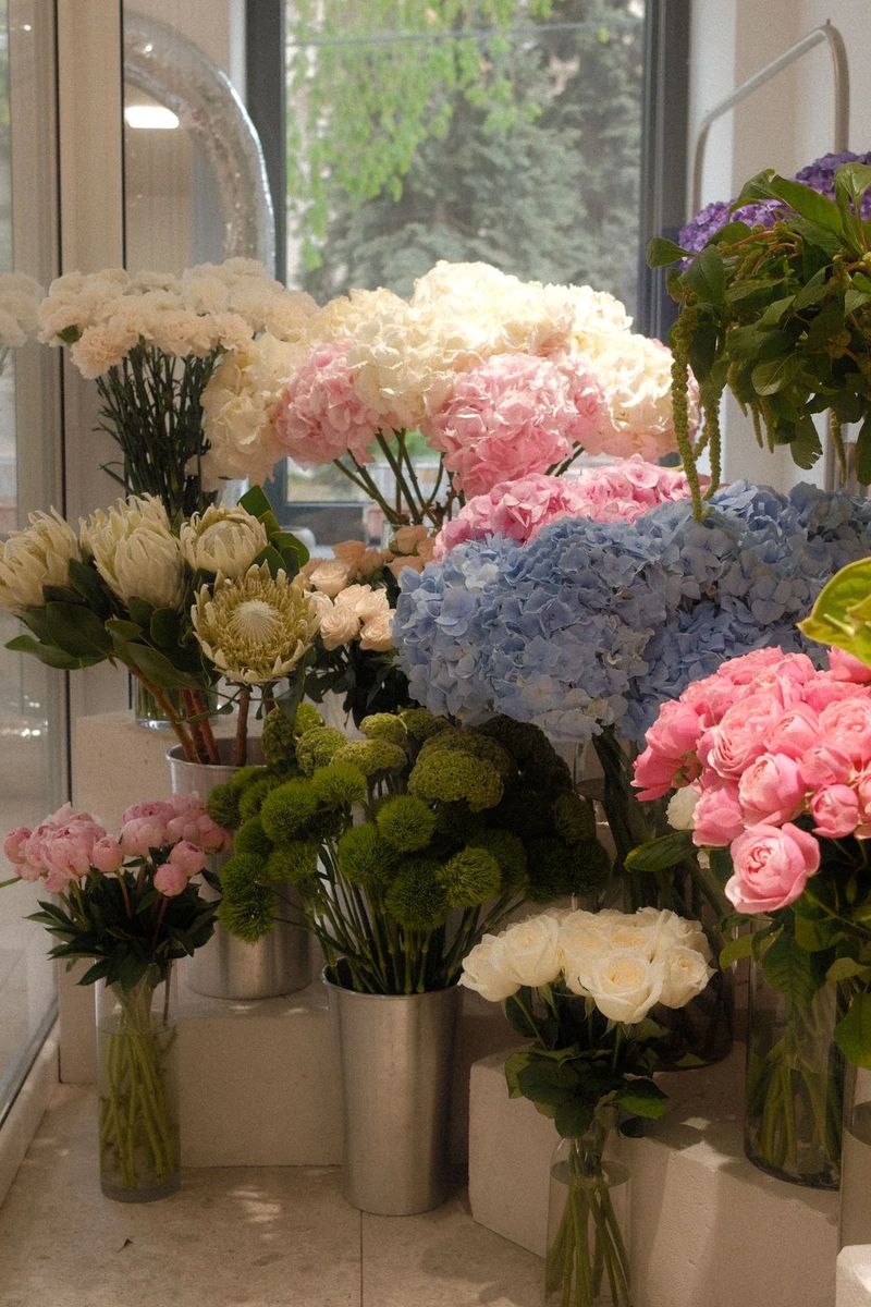 Fresh hydrangeas, peonies and protea in the YUCCA Flowers studio — Istanbul A composition of white, pink, blue and lilac hydrangeas, protea, white peony roses and spray chrysanthemums in a bright florist studio