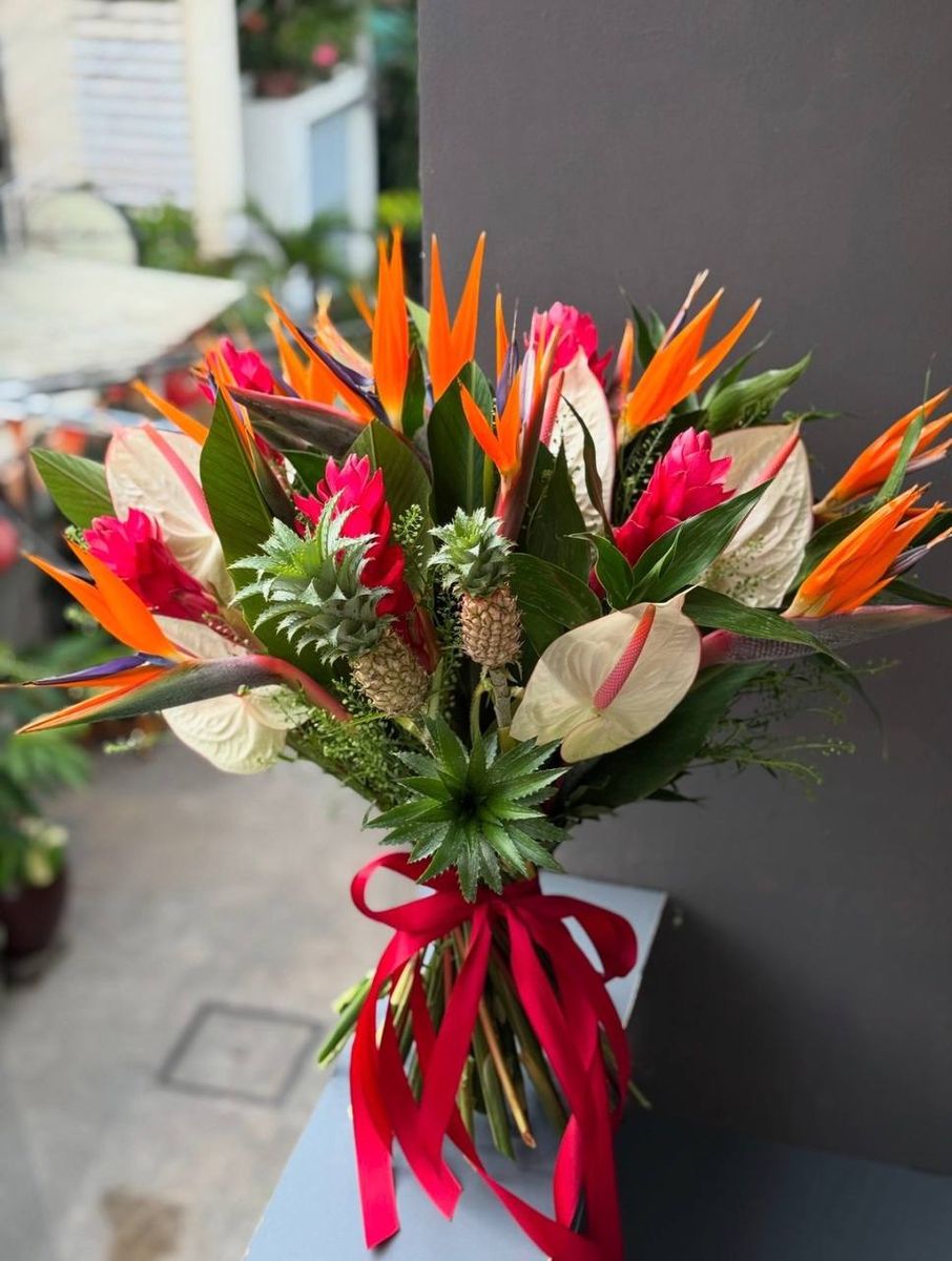 Artis Tropical — order with delivery in Amsterdam. Price €178