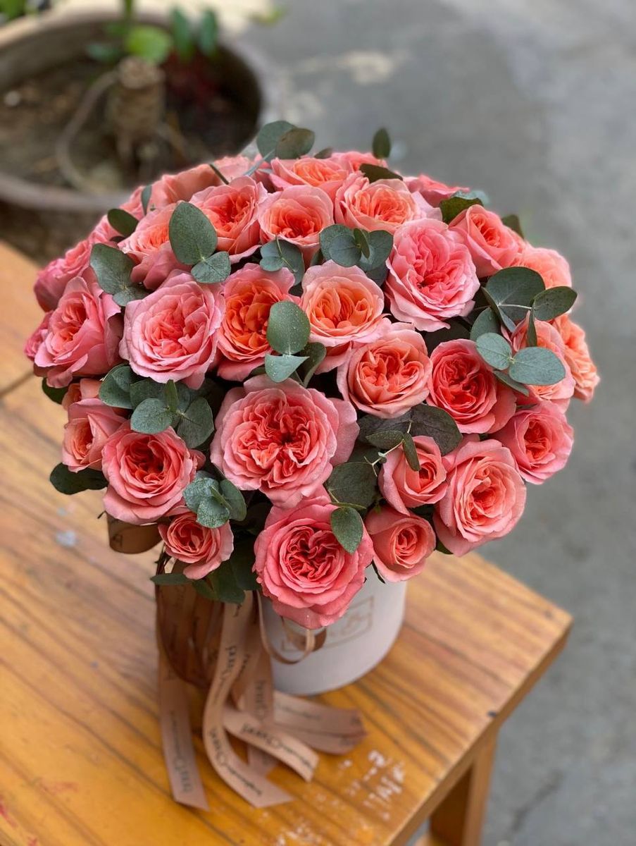 Vanilla Tenderness — order with delivery in Hanoi. Price $99