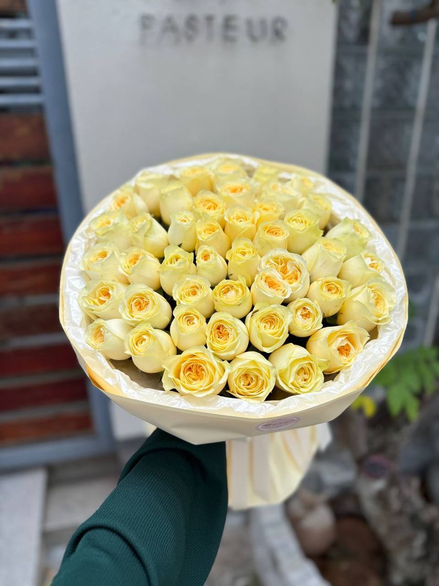 Quiet Cloud — order with delivery in Hanoi. Price $81
