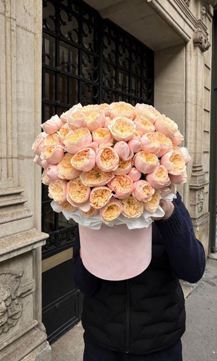 Peach Boavista — order with delivery in Porto. Price €560