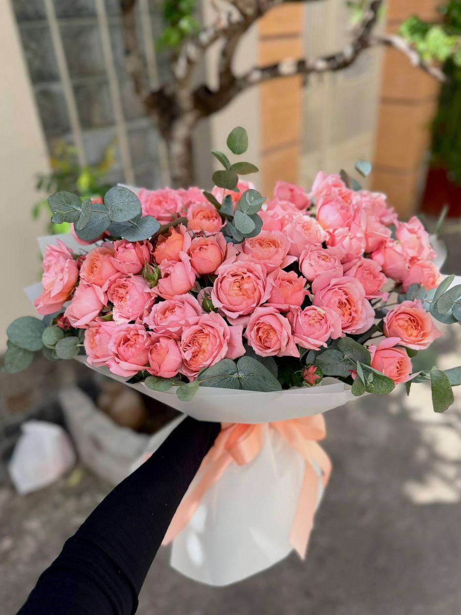 Розовый Бульвар — купить с доставкой в Хошимине. Цена $112