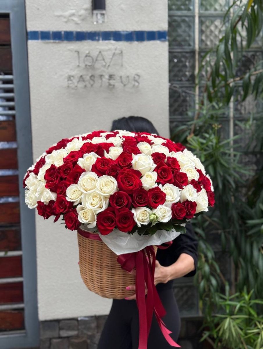 Diamond Hanoi — order with delivery in Hanoi. Price $319
