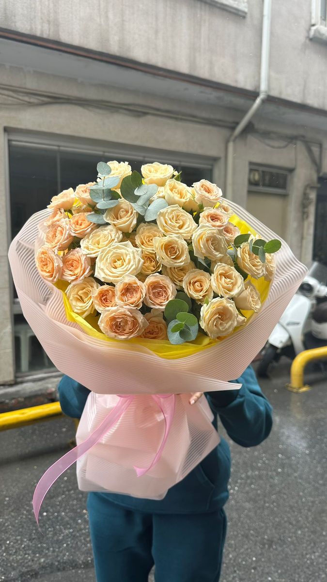 Wow Effect — order with delivery in Istanbul. Price $155