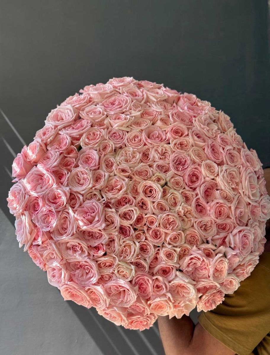 Royal Orchid — order with delivery in Hanoi. Price $279