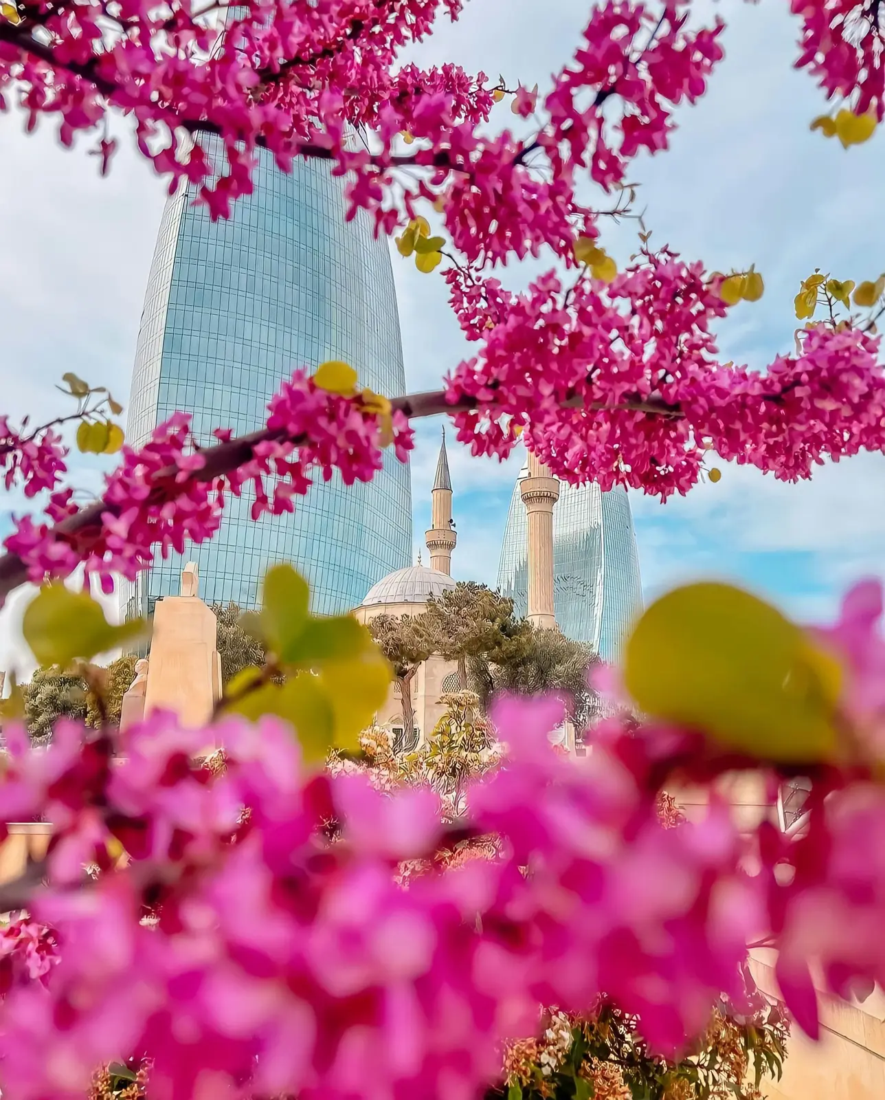 Flower delivery in Baku — YUCCA Flowers